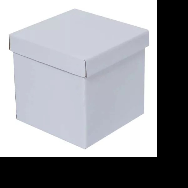 CAJA BLANCA CUBO 10 10X10X10 PADI JGO E.12